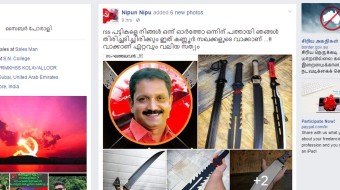 nipu 1